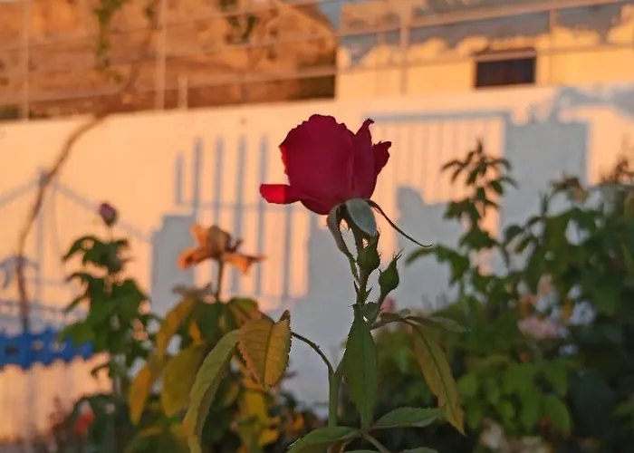 Ferienhaus Endless Blue Stegna Archangelos (Rhodes)