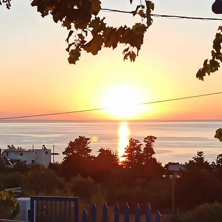 Endless Blue Stegna *