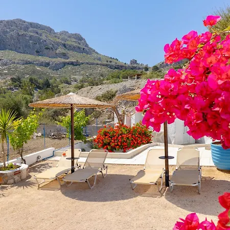 Endless Blue Stegna *